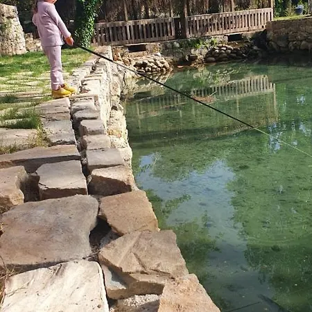 Eco Family Park Hotel