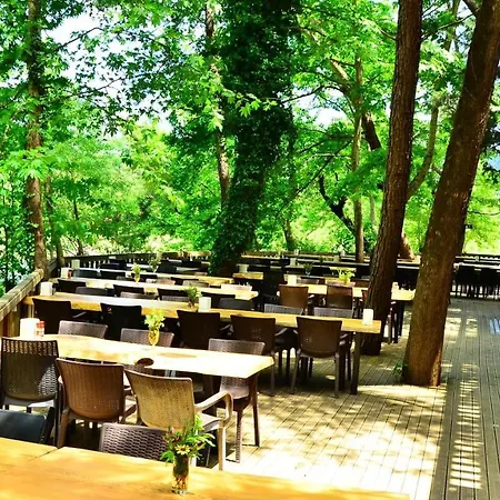 Hotel Eco Family Park Hotel *