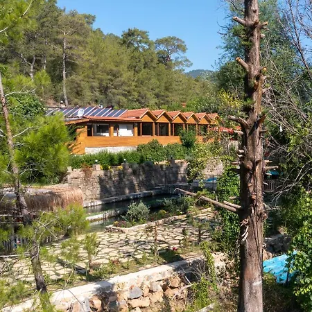 Hotel Eco Family Park Hotel