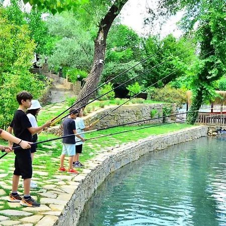 Eco Family Park Hotel *